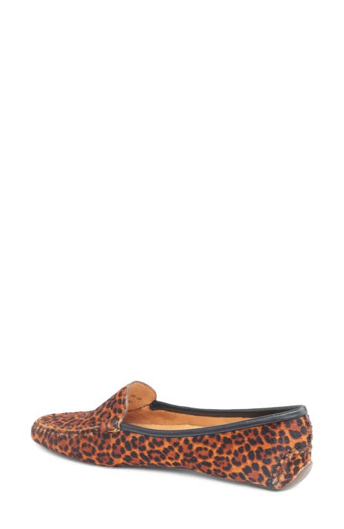 Shop Patricia Green 'jillian' Loafer In Dark Brown Leopard Haircalf