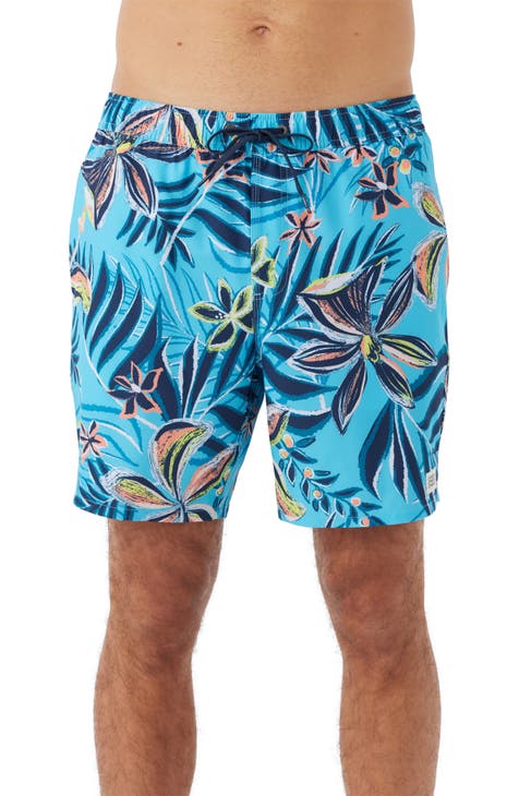 Hermosa Board Shorts