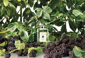 Jo Malone London Blackberry Bay Cologne Nordstrom