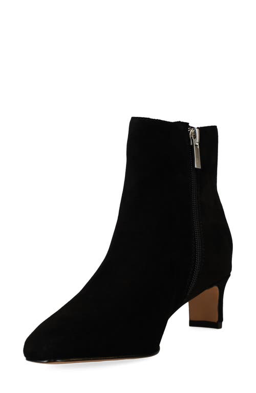 Shop Pelle Moda Galia 2 Bootie In Black