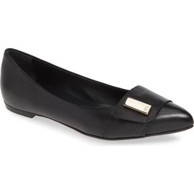 Agl Pointy Toe Flat - Black