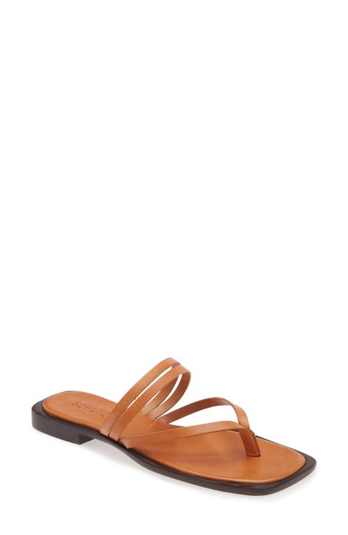 Shop Schutz Rania Strappy Flip Flop In Cuoio Brown