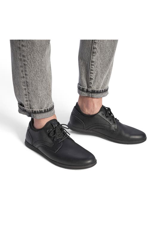 ALDO ALDO CARNABY DERBY 