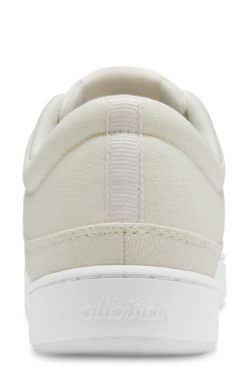 Shop Allbirds Pacer Sneaker In Natural White/blizzard