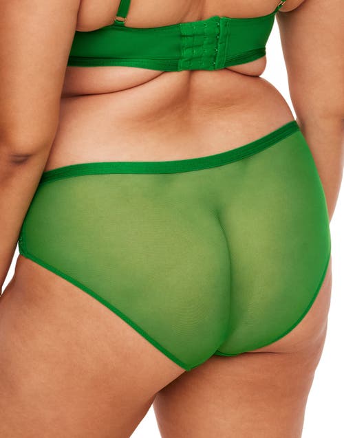 Shop Adore Me Diara Hipster Panties In Dark Green