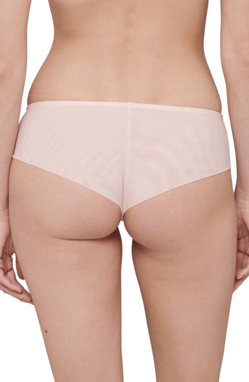 Simone Perele Simone Pérèle Singuliere Embroidered Tulle Briefs In Petal Powder