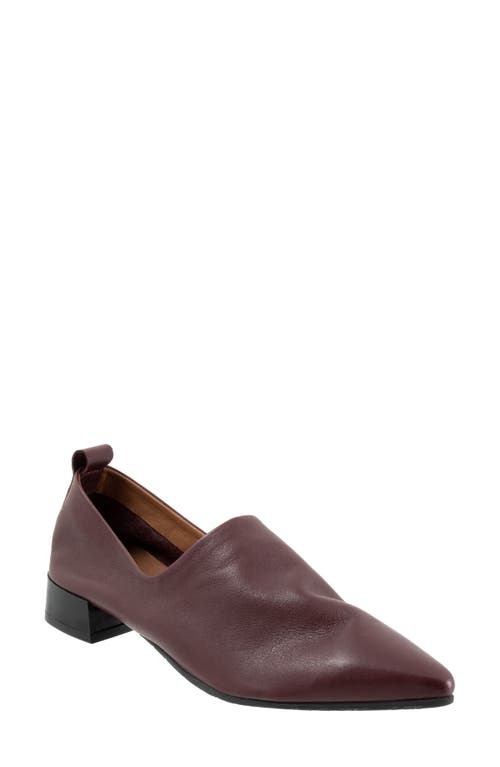 Bueno Marley Pointed Toe Loafer Merlot at Nordstrom,