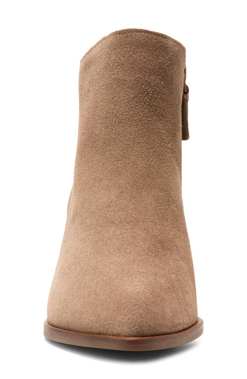 Shop Cole Haan Vayda Bootie In Chestnut