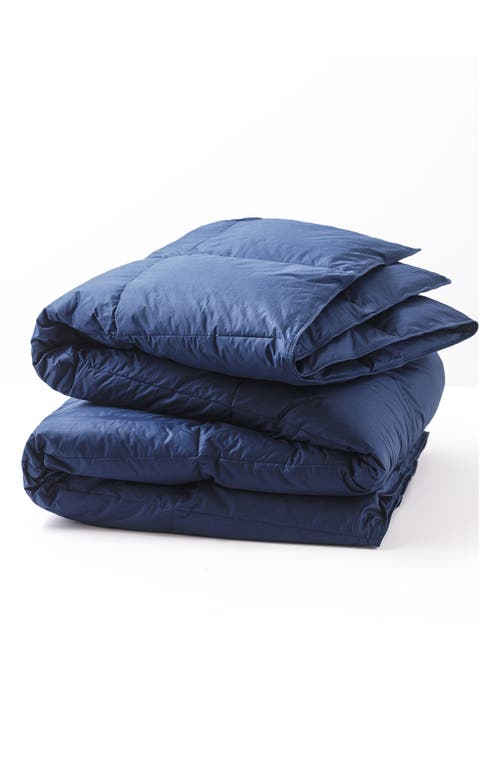 Allied Home All Season Down Comforter in Navy at Nordstrom, Size Twin