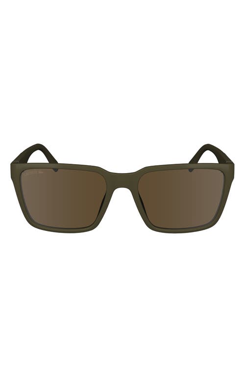 56mm Rectangular Sunglasses in Brown/Khaki