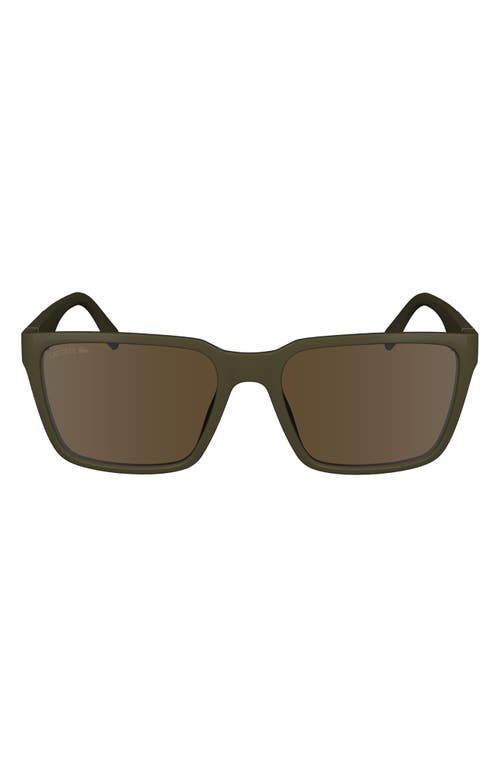 Shop Lacoste 56mm Rectangular Sunglasses In Brown/khaki