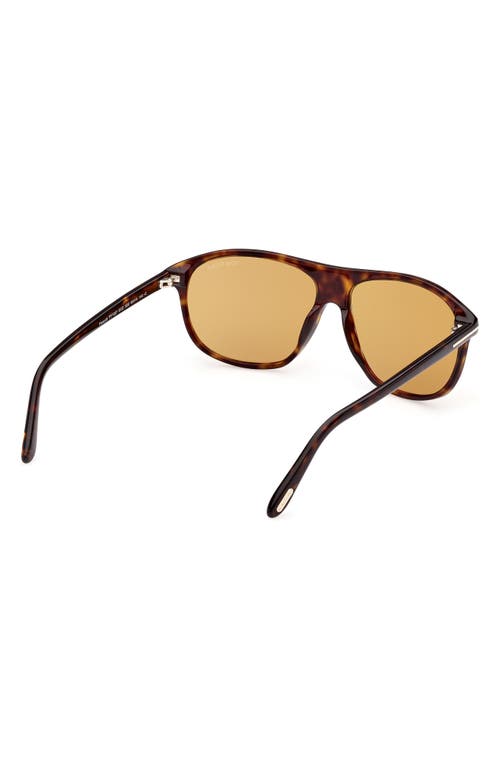 Shop Tom Ford Prescott 60mm Square Sunglasses In Shiny Dark Havana/amber