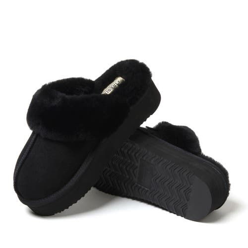 Shop Dearfoams Fireside Melton Genuine Shearling Platform Scuff Slipper In Black