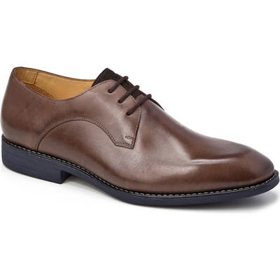 Sandro Moscoloni Garret Plain Toe Derby, Brown