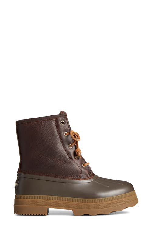 Shop Sperry Top-sider® Saltwater 2.0 Duck Boot In Dark Brown