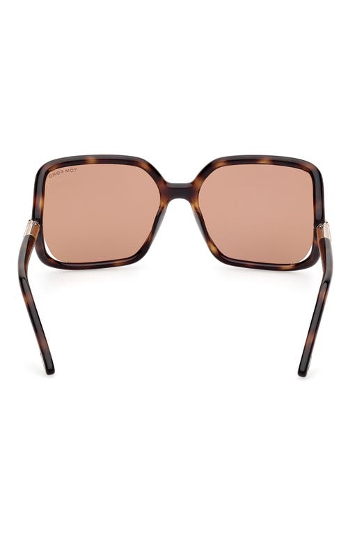 Shop Tom Ford Solange-02 60mm Butterfly Sunglasses In Shiny Dark Havana/brown