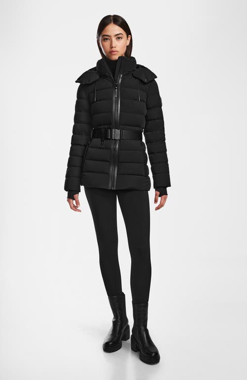 Rudsak PELIN S WOMEN'S SHORT QUILTED DOWN PUFFER in Black 