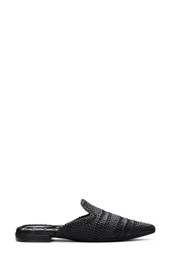 Birdies Dove Woven Pointed Toe Mule In Black Woven