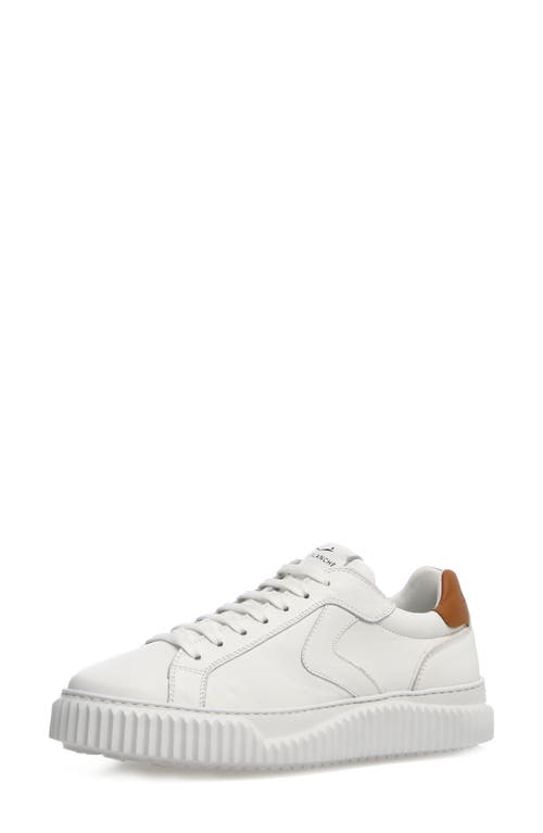 Shop Voile Blanche Lipari Sneaker In White/tobacco