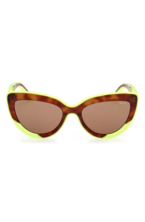 Emilio Pucci 56mm Cat Eye Sunglasses in Havana/Other /Brown