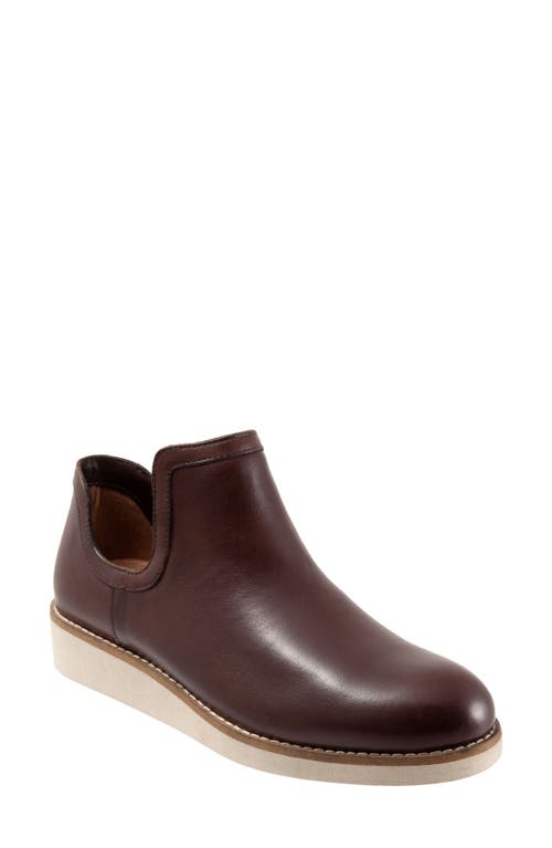 SoftWalk Woodbury Leather Bootie Dark Brown at Nordstrom,