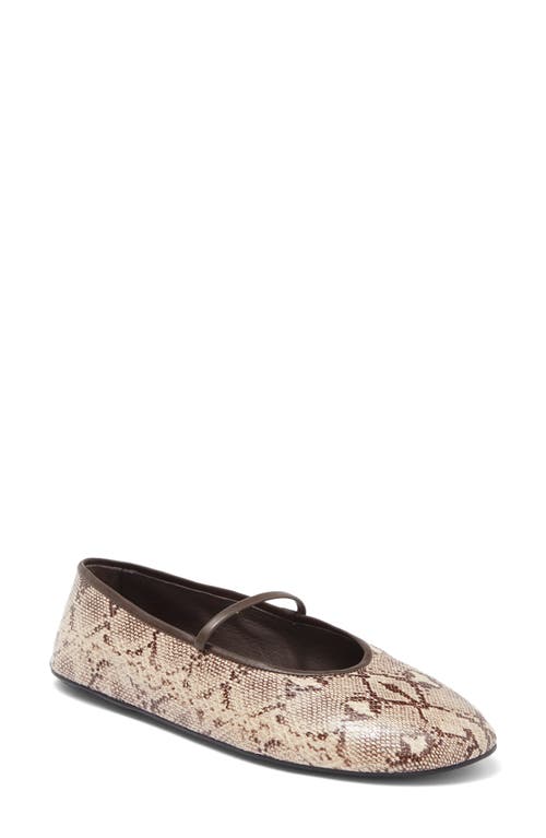 Shop Jeffrey Campbell Dancerina Mary Jane Ballet Flat In Beige/brown Snake Print