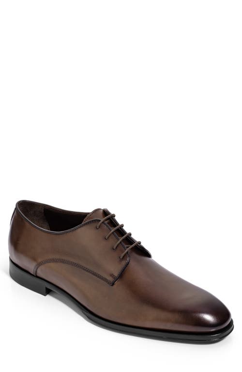 Shop To Boot New York Blakeley Plain Toe Derby In Brown