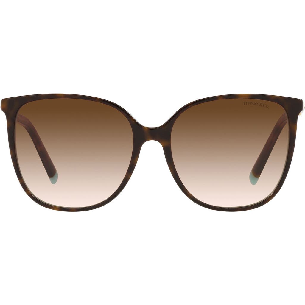 Tiffany & Co . 57mm Gradient Square Sunglasses In Havana Blue/brown Gr