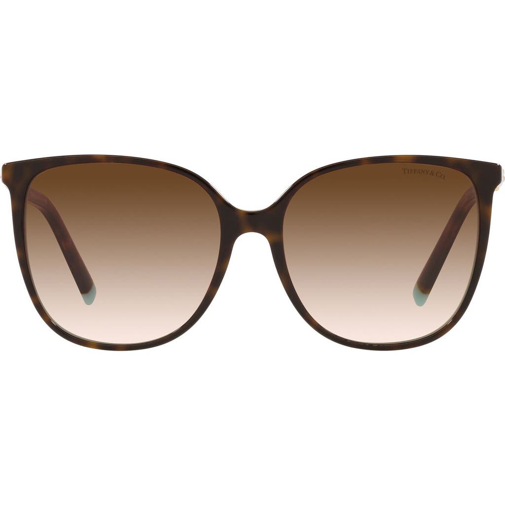 Tiffany & Co . 57mm Gradient Square Sunglasses In Havana Blue/brown Gr