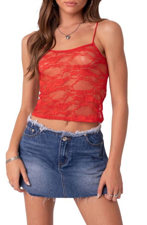 EDIKTED Gianna Sheer Lace Camisole at Nordstrom