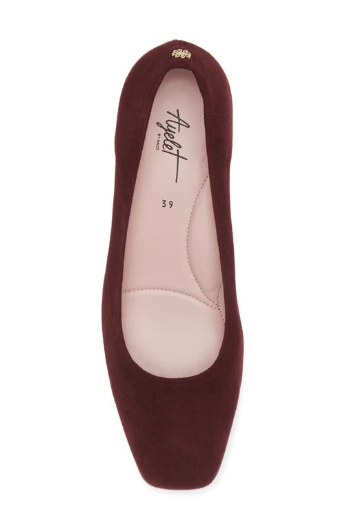 Shop Naot Cass Patent Pump In Burgundy Suede