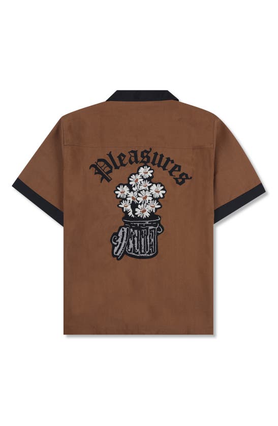 Shop Pleasures Daisy Camp Shirt In Brown