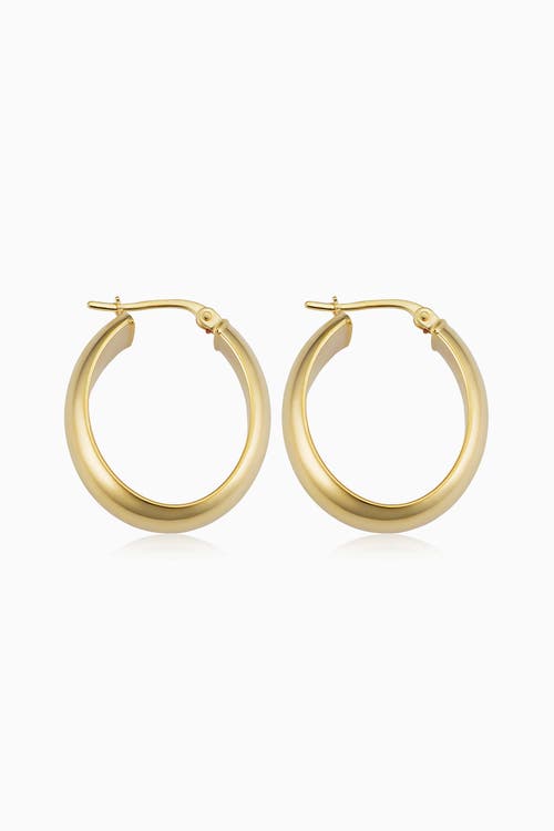 Oradina Women's 14k Yellow Gold High Society Oval Hoops In Yellow Gold