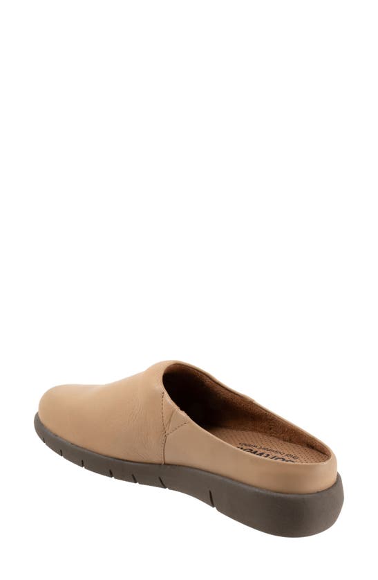 Softwalk Andria Mule In Beige