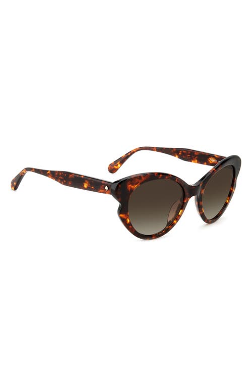 Kate Spade New York Paisleigh 55mm Gradient Cat Eye Sunglasses In Havana/brown Gradient