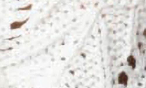 Shop Edikted Tie Front Crochet Crop Top In White