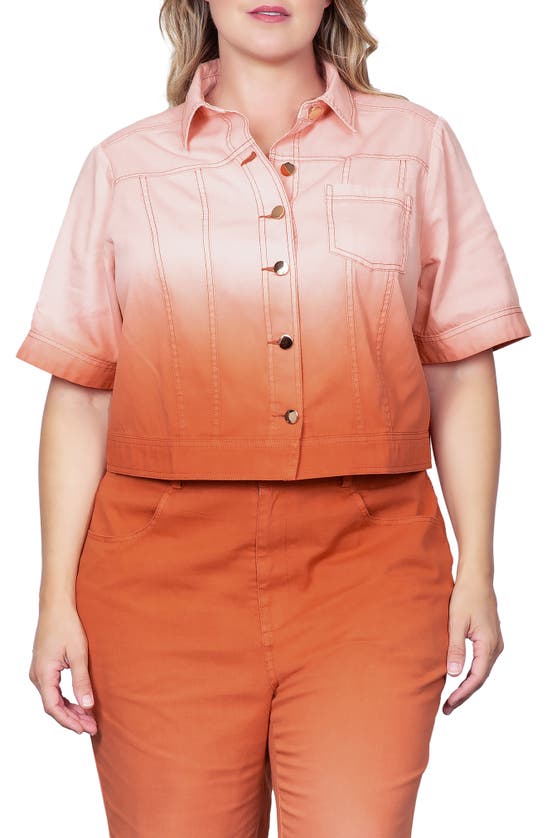 STANDARDS & PRACTICES STANDARDS & PRACTICES DIP DYE CROP JACKET