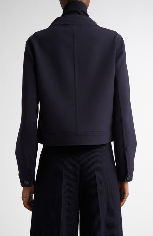 Max Mara Lamine Funnel-neck Cotton Jacket In Ultramarine