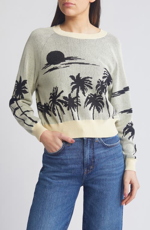 Shop The Great . The Palm Cotton Sweater In Black