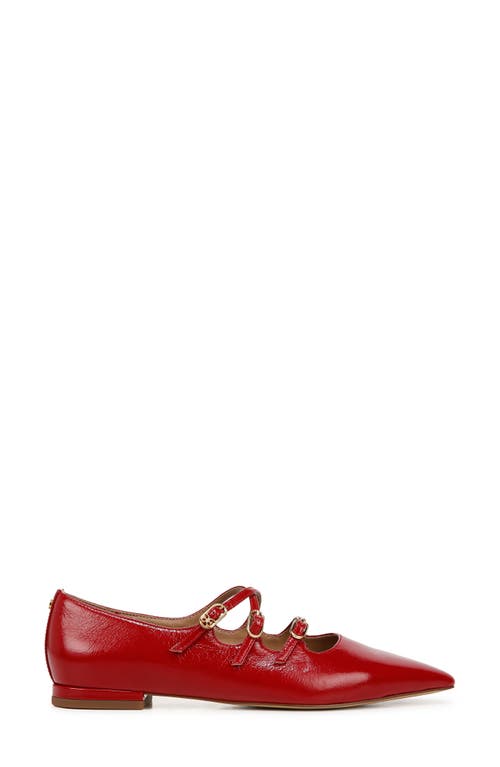 Shop Sam Edelman Cass Pointed Toe Flat In Deep Scarlet