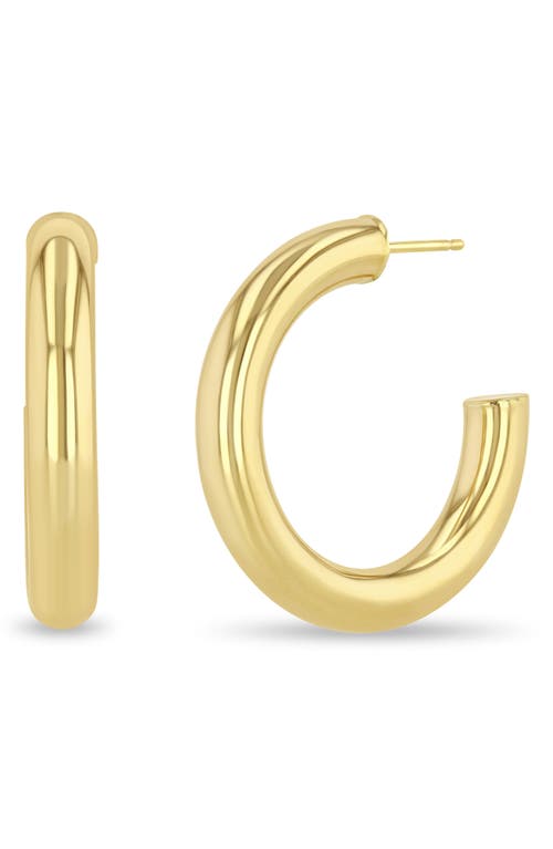 Zoë Chicco Medium Tube Hoop Earrings in 14K Yellow Gold at Nordstrom