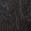 selected Black color