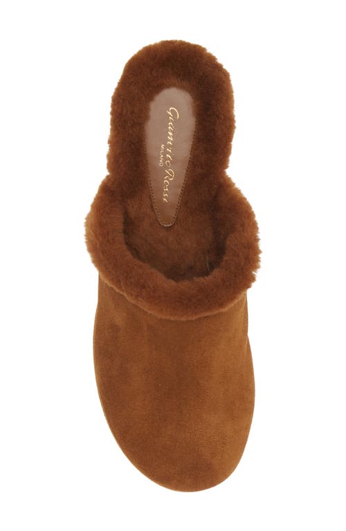 Shop Gianvito Rossi Lyss Genuine Shearling Mule In Texas/texas