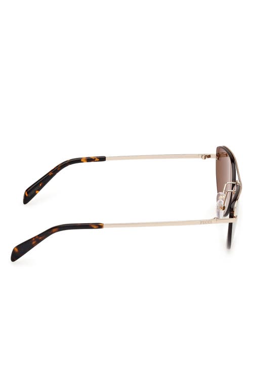 Pucci Emilio 59mm Cat Eye Sunglasses In Gold/brown Mirror