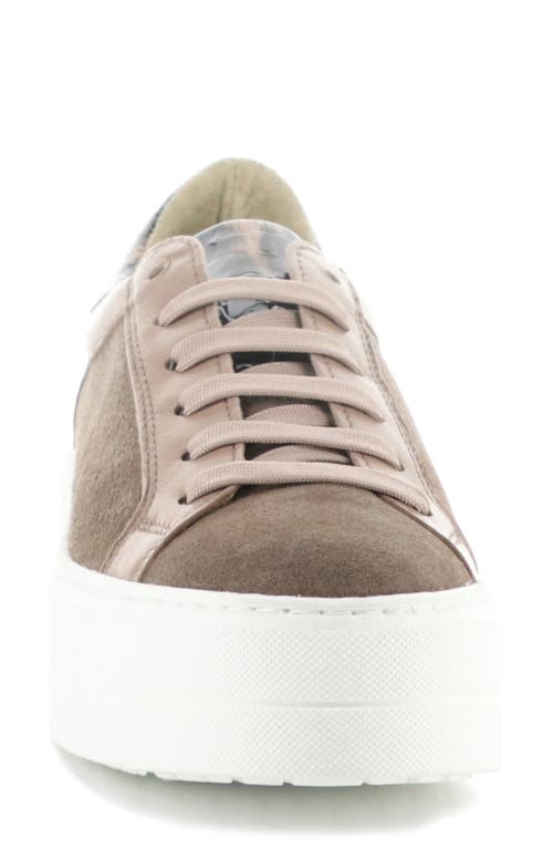 Shop Bos. & Co. Maude Platform Sneaker In Taupe/almondine