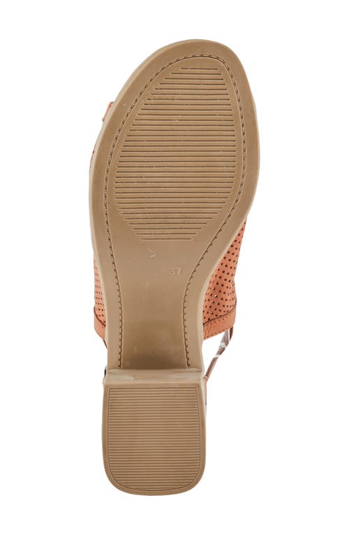 Spring Step Noctium Slingback Sandal In Camel