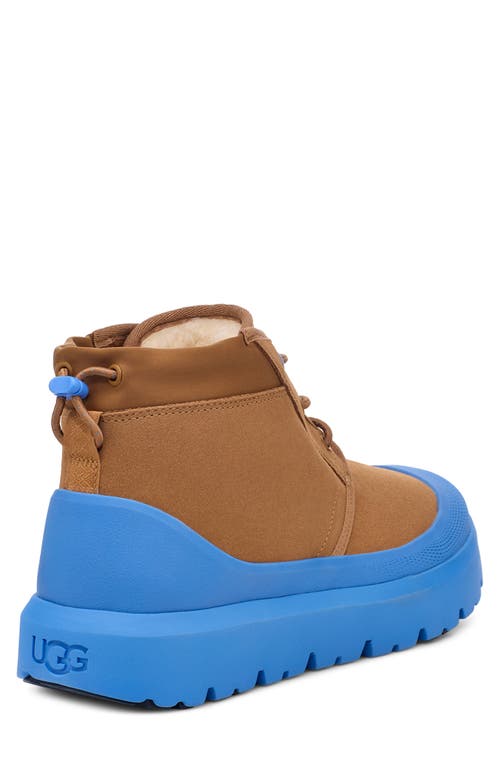 Shop Ugg(r) Neumel Waterproof Hybrid Boot In Chestnut/big Sky