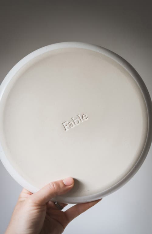 Shop Fable The Set Of 4 Salad Plates In Desert Taupe