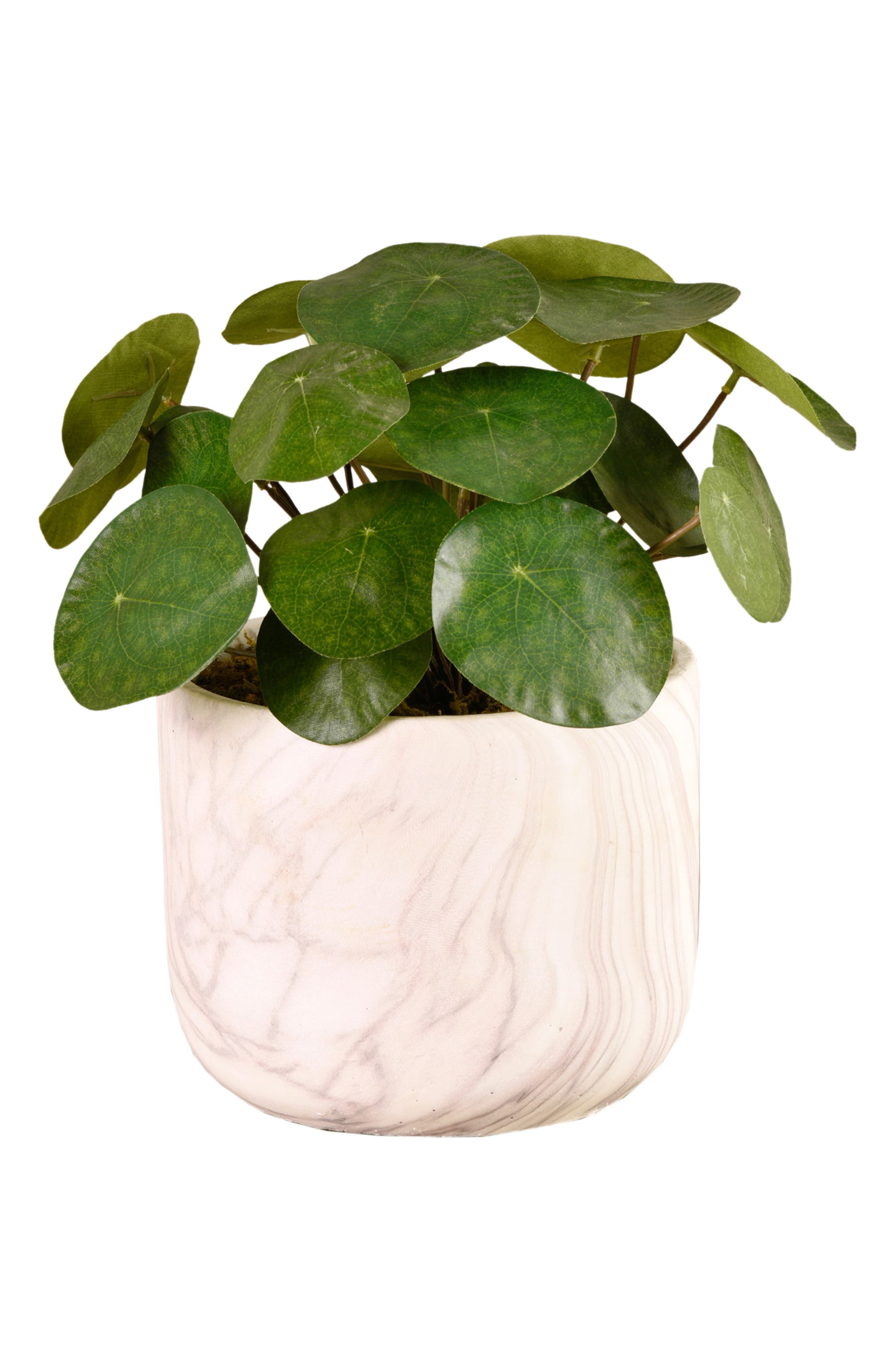 BLOOMR Potted Pancake Plant Planter Decoration, Main, color, GREEN
