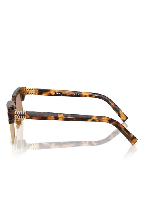 Miu Miu 54mm Square Sunglasses In Havana